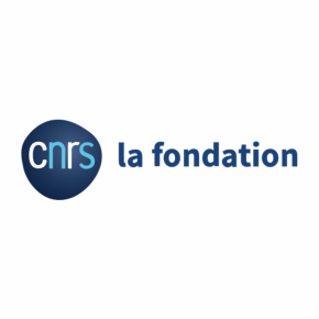 « La Fondation contribuera au développement et à la promotion du CNRS »