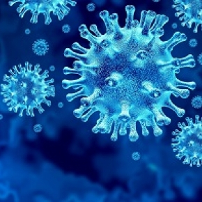 des vulnérabilités communes aux coronavirus SARS-CoV-2, SARS-CoV-1 et MERS-CoV